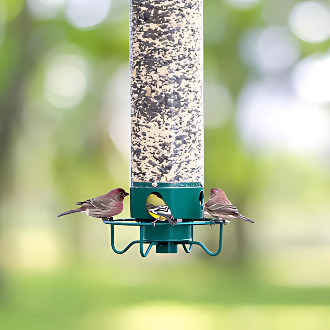 Bird Feeder Metal Hanging Squirrel Proof Design