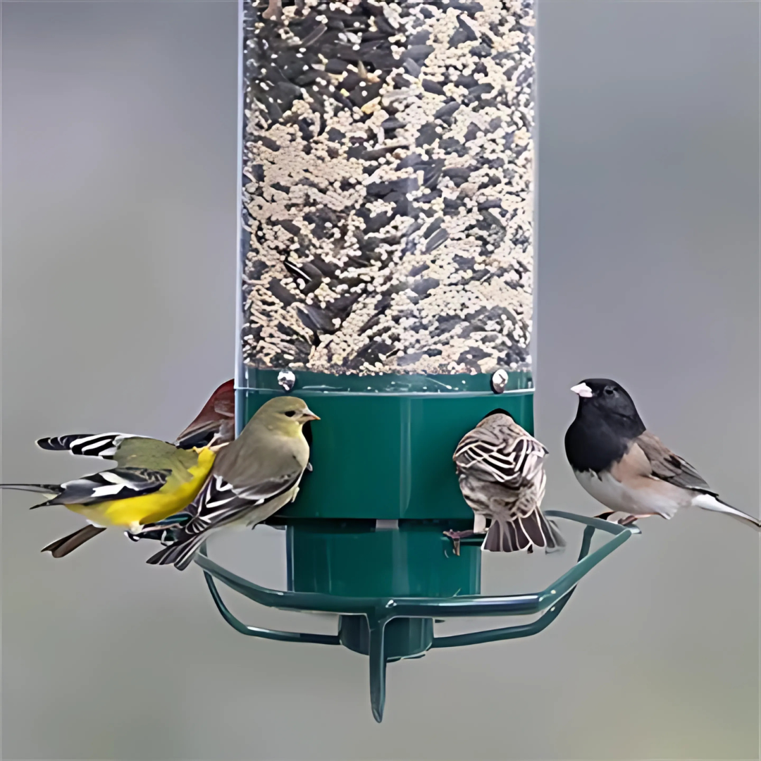 Bird Feeder Metal Hanging Squirrel Proof Design